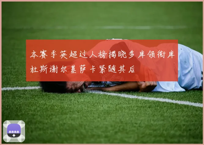 本赛季英超过人榜揭晓多库领衔库杜斯谢尔基萨卡紧随其后