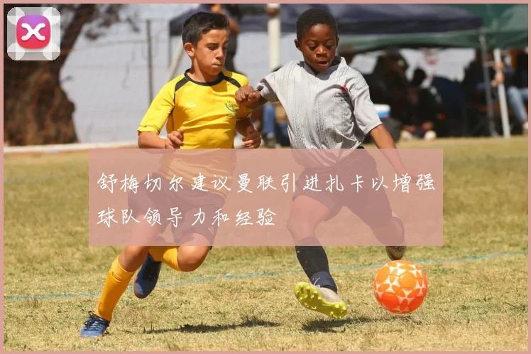 舒梅切尔建议曼联引进扎卡以增强球队领导力和经验